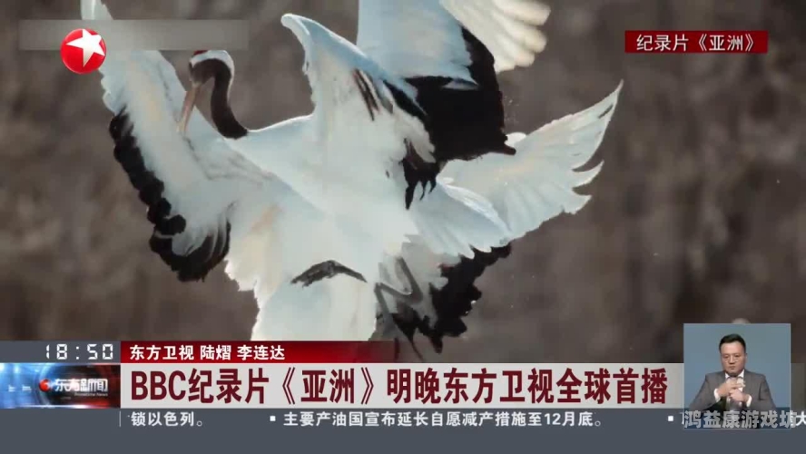 亚洲一区综合新闻，在线播放盛况揭秘