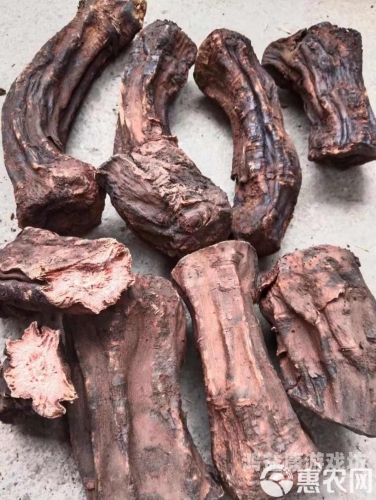 大黄无码网站在线观看揭秘大黄无码网站，在线观看神秘内容