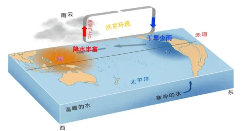 日韩欧美亚洲新闻资讯，不卡现象解析日韩国产欧美亚洲一区不卡狗