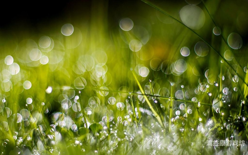 超碰在线97青草超碰在线，97青草新闻报道