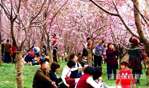 日本久久亚洲激情日本久久亚洲激情，文化交融下的浪漫故事