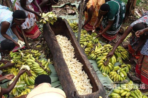 香蕉喷水视频在线观看，探索精品国产乱码久久久久水蜜桃奇趣的视觉盛宴香蕉喷水视频在线观看免费