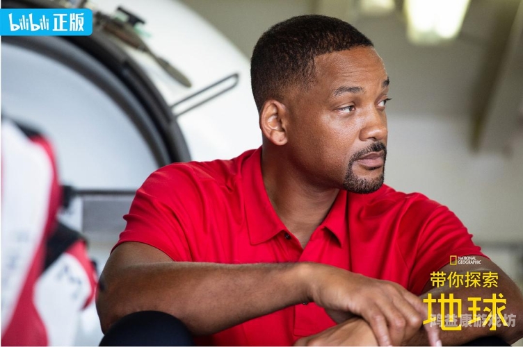 欧美国产一级片在线观看，影视新风潮