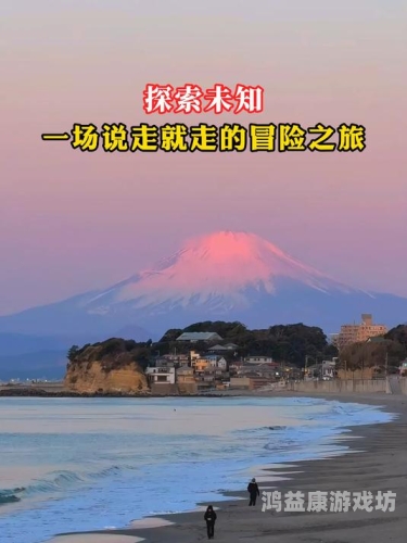 探索未知，无码视频在线播放器角色设定