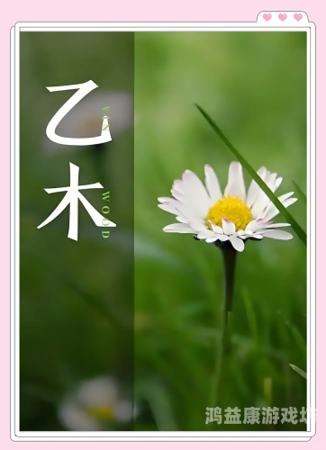 97精品久久天干天天97精品久久天干天天，揭秘天干运势，解读人生新篇章