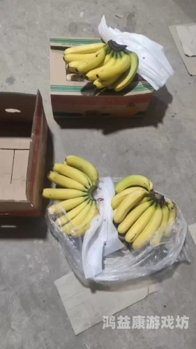 国产精品香蕉在线观看网址，探索精品国产乱码久久久久水蜜桃口感与文化魅力