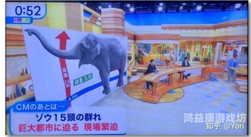 亚洲精品成人高潮在线观看指南亚洲高亚洲高清无线吗2020