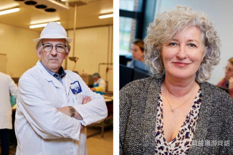 中文字幕 XXXX揭秘XXXX，新闻资讯网站角色设定与内容概述