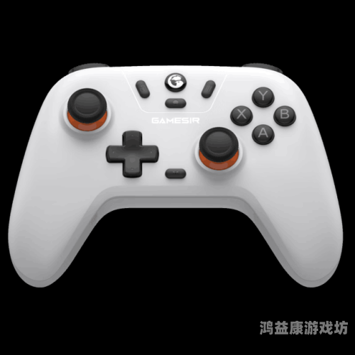 探索无码乱码一级毛片背后的新闻资讯