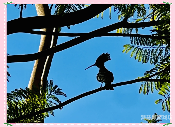 26uuu在线亚洲综合色，探索多元文化的交汇点亚洲综合症