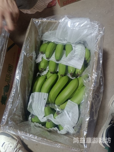 国产精品，久久香蕉新闻资讯