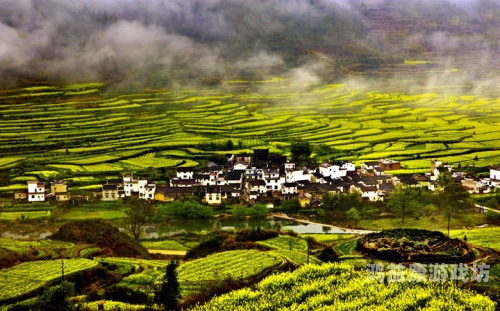 大陆农村无码毛片大陆农村无码毛片现象，亟待关注与反思