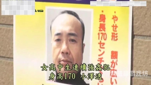 欧洲AV免费在线观看，探索精彩内容与安全观看之道