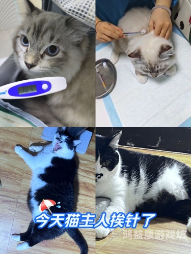亚洲成aV人在线视猫咪亚洲盛传aV人热议猫咪世界