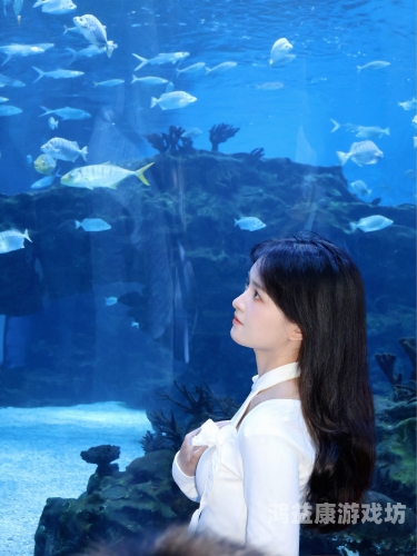 手机看片国产韩日视频手机看片，国产韩日视频精彩纷呈