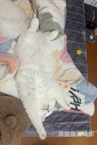 揭秘噜噜嘿在线视频，无码观看带你探索视频世界