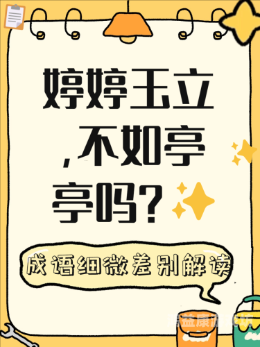 婷婷综合成人婷婷综合成人，探索网络世界的多元魅力