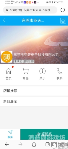 久久久久精品网站中文字幕久久精品网站中文字幕，新闻资讯栏目深度解析