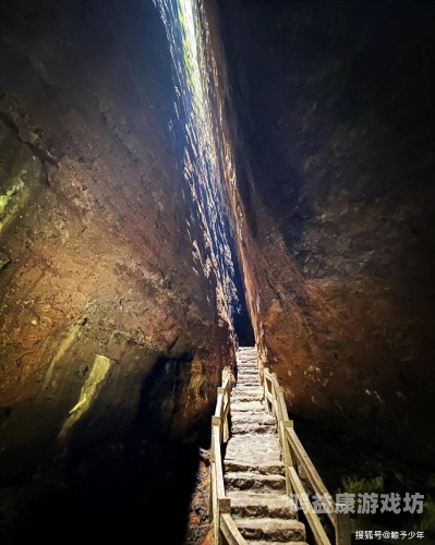 无码一线天在线观看，探索网络视频新纪元