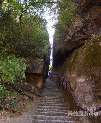 无码一线天在线观看，探索网络视频新纪元