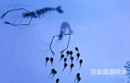 国产精品蝌蚪网国产精品蝌蚪网，探索科技与文化融合的新闻资讯