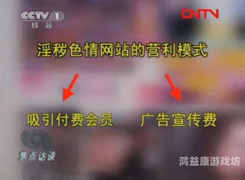 百度搜索收录，久久成人综合亚洲精品内容