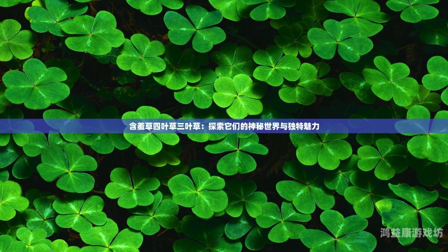 含羞草www中文在线含羞草，在线资讯的魅力世界