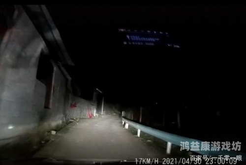 深夜成人A片在线看，探索网络新风尚深夜2021能看