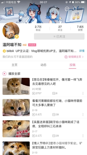 猫咪AV成人永久网站，探索神秘领域猫咪现在网站