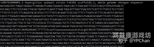 成人乱人伦精品视频，探索网络世界的隐秘角落aaaq