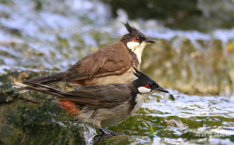 67194成人阅读百度搜索热门文章，67194成人阅读趋势与热点解读
