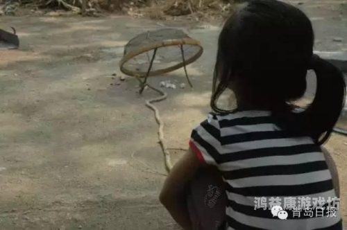 成人无码AA视频免费看成人无码AA视频免费看，探索网络视频的多元世界
