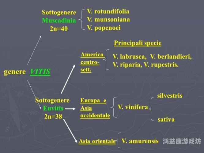 欧美性杂交一区二区三区欧美性杂交，一区新闻揭秘