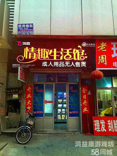 成人A级无码毛片在线播放，探索网络新奇领域