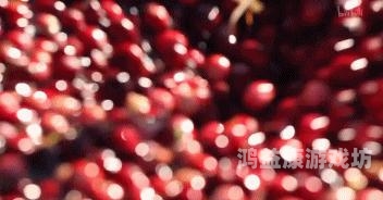 国产精品无码一区二区色欲国产精品无码一区二区色欲，引领潮流的视觉盛宴