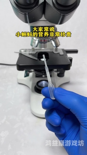 百度搜索，kdbacc.小蝌蚪新闻资讯kdbacc.小蝌蚪 xkdsp默菱的优势