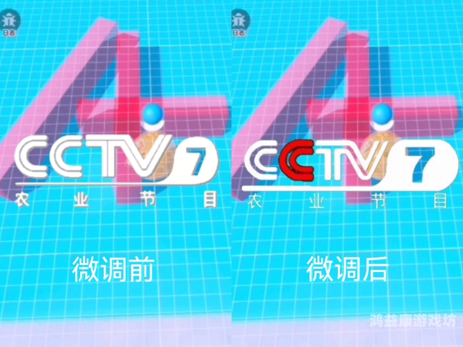 vidoe999.com 新闻资讯，短视频平台崛起，新闻资讯网站新篇章