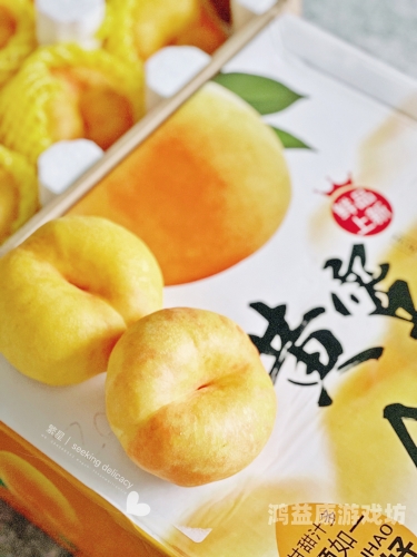 久久91精品系列，水蜜桃的甜蜜之旅