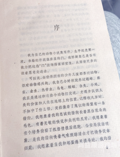 成人Aⅴ小说成人AⅤ小说，探索网络文学的新领域
