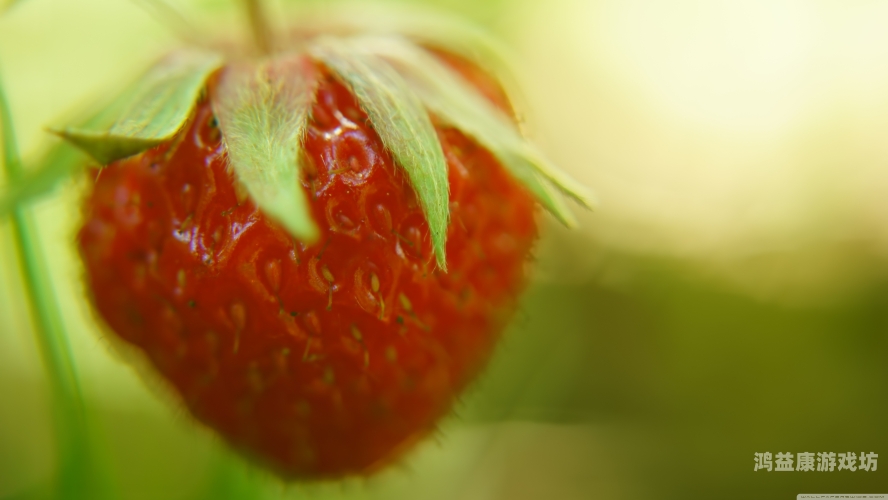 草莓成人在线草莓成人在线，探索网络世界的神秘角落