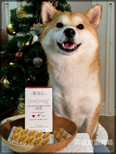 新闻资讯，又白又嫩毛又多，探索宠物市场新趋势又白又嫩毛又多美女在线观看