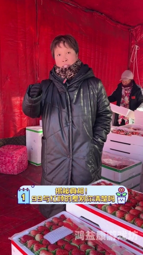 揭秘久久人人摸背后的神秘力量久久人名