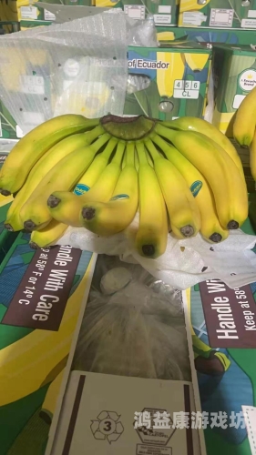 AV香蕉内射区，探索性新闻资讯