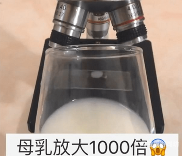 嗯啊嗯啊奶水四溅久久奶水四溅久久，新闻资讯网站角色设定