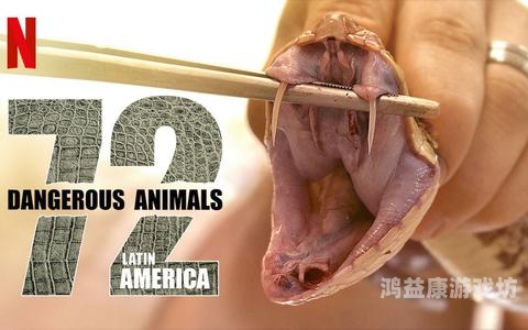 探索神秘的蛇类交配视频，动物园里的另类互动snakes(蛇) are (dangerous) animals