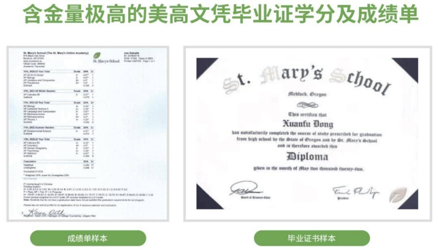 高hsm主人，新闻资讯网站揭秘角色设定