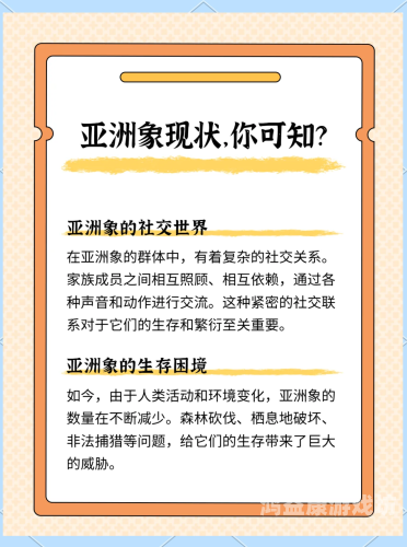 成人资源免费观看，探索在线观看的神秘世界