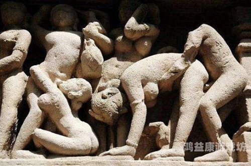 女人高潮精品毛片，探索女性性高潮的神秘世界