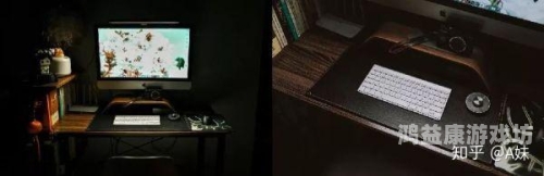 猫咪AV成人永久网站网址猫咪AV成人永久网站，揭秘与安全访问指南
