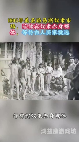 国产永久免费裸体美女视频，揭秘网络热潮背后的真相4399在线观看免费高清电视剧